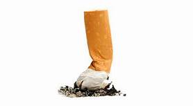 LOS DAÑOS DEL CONSUMO DEL TABACO