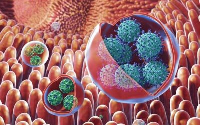Otros virus está alcanzando su nivel previo a la pandemia: La Gastroenteritis… ¿por qué?