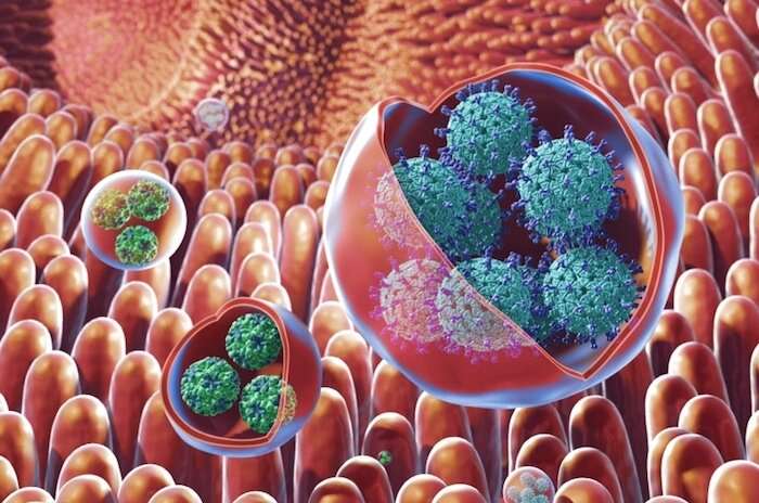 Otros virus está alcanzando su nivel previo a la pandemia: La Gastroenteritis… ¿por qué?