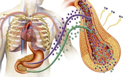La Diabetes Mellitus