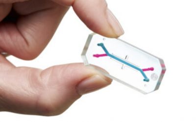 ÓRGANO EN CHIP: MODELOS DE TEJIDO DE ALTO RENDIMIENTO
