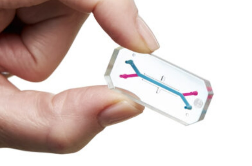 ÓRGANO EN CHIP: MODELOS DE TEJIDO DE ALTO RENDIMIENTO