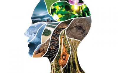 Enfermedades Infecciosas: Pasado, Presente y Futuro