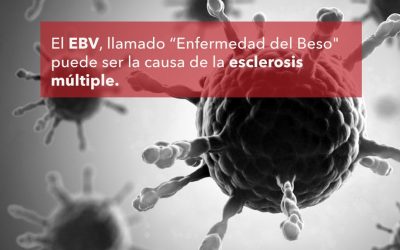 El virus EBV Llamado «Enfermedad del Beso» Puede Ser la Principal Causa de la Esclerosis Múltiple