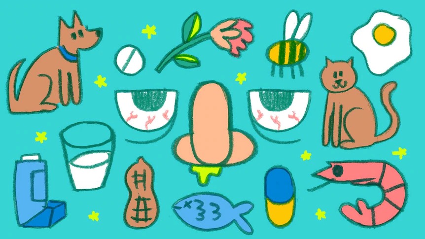 Las Alergias: ¿Cómo Detectarlas? ¿Cómo Vivir con Ellas?