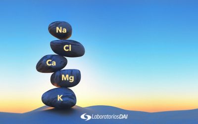 LOS ELECTROLITOS Y SUS PRINCIPALES FUNCIONES