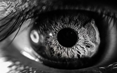 TOXOPLASMOSIS Y SALUD OCULAR