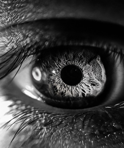 TOXOPLASMOSIS Y SALUD OCULAR